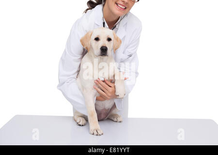 Tierarzt tun Check up beim Hund Stockfoto