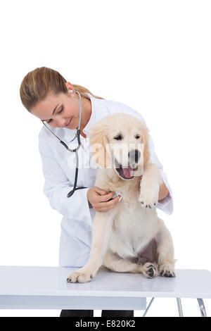 Tierarzt-aufgeben ein Welpe einen Scheck Stockfoto