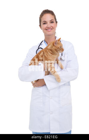 Tierarzt hält eine orange Katze Stockfoto