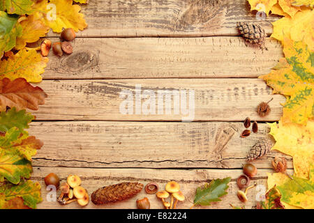 Herbst Hintergrund mit Farbe Blätter auf Holzbrett Stockfoto