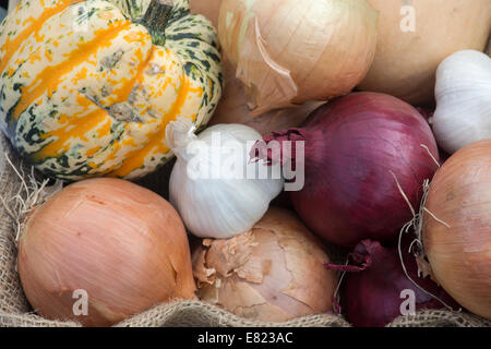 Squash, Nahaufnahme Zwiebeln und Knoblauch Zwiebeln Muster Stockfoto