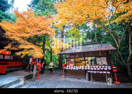 Kyoto, Japan - 30. Juni 2014: rot-Ahornbäume in einem japanischen Garten Stockfoto