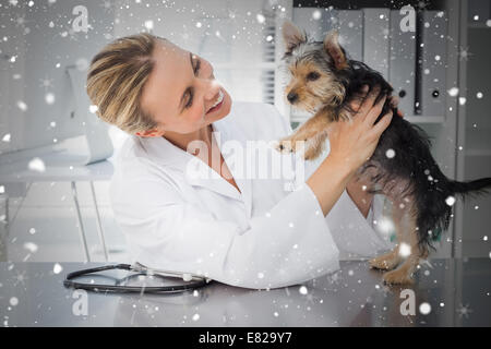 Zusammengesetztes Bild der Tierarzt Untersuchung Hund Stockfoto