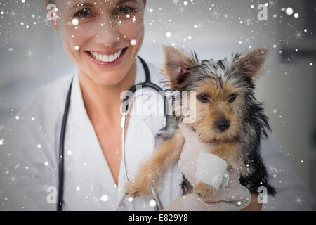 Zusammengesetztes Bild des Lächelns weibliche Tierarzt Holding niedlichen Welpen Stockfoto