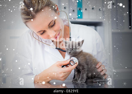 Zusammengesetztes Bild der Tierarzt Prüfung Kätzchen Stockfoto