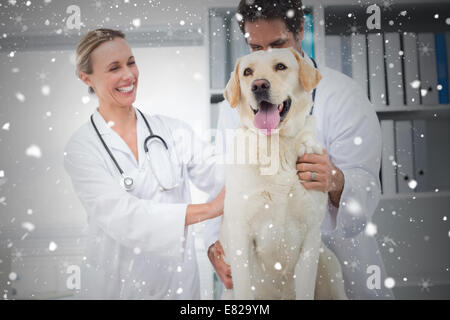 Zusammengesetztes Bild von Tierärzten untersucht Hund Stockfoto