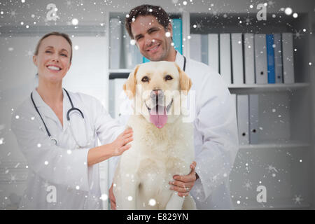 Zusammengesetztes Bild glücklich Tierärzte mit Hund Stockfoto
