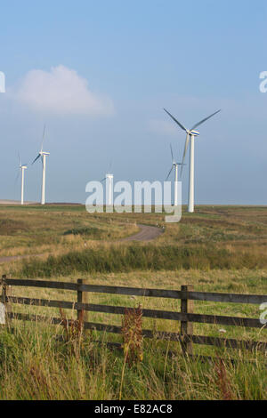 Dun Gesetz Ost Windfarm, Scottish Borders, Schottland, Großbritannien Stockfoto