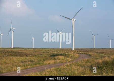 Dun Gesetz Ost Windfarm, Scottish Borders, Schottland, Großbritannien Stockfoto