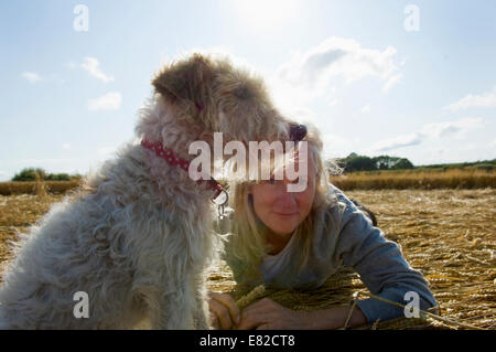 Ein kleiner Hund sitzen und Blick in die Ferne. Eine Frau neben ihm auf der Gruppe. Ernte. Stockfoto