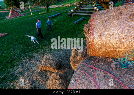 PIPKA-Parks in der Vysočina Region verschiedene Kürbisse wachsen. Ost-Böhmen, Tschechische Republik Stockfoto