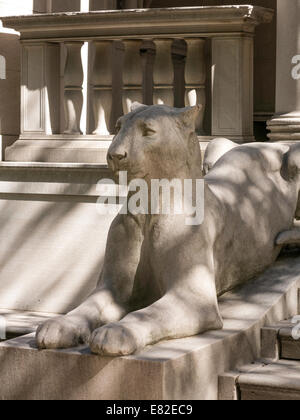 Löwin Statue, die Pierpont Morgan Library & Museum, 36th Street, NYC Stockfoto