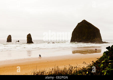 Haystack Rock Cannon Beach, Oregon Stockfoto