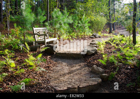 Felsstufen auf eine Natur Wanderweg schlängelt sich durch einen üppigen Wald durch eine Bank, die im frühen Morgenlicht leuchtet. Stockfoto