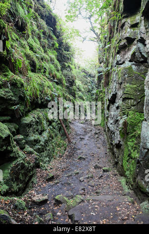 Lud die Kirche in der Nähe von Gradbach in die Kakerlaken Hügel Staffordshire Peak District England UK Stockfoto