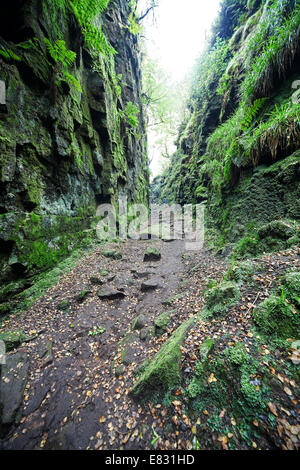 Lud die Kirche in der Nähe von Gradbach in die Kakerlaken Hügel Staffordshire Peak District England UK Stockfoto