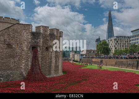 Blut Mehrfrequenzdarstellung Länder und Meere rot - die Installation von Keramik Mohnblumen in den Tower of London Stockfoto