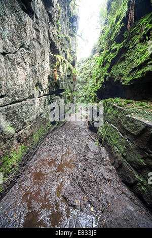 Lud die Kirche in der Nähe von Gradbach in die Kakerlaken Hügel Staffordshire Peak District England UK Stockfoto