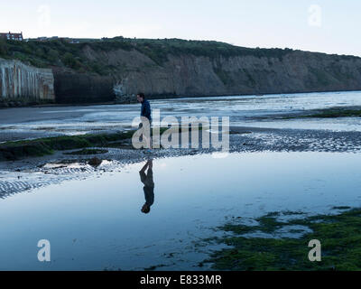 zu Fuß Hund am Strand von Robin Hoods Bay, yorkshire Stockfoto