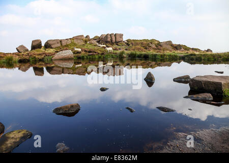 Doxey Pool auf die Kakerlaken Hügel Staffordshire Peak District England UK Stockfoto