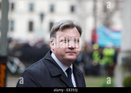 Trauergäste bei MP Tony Benn Beerdigung, St.-Margarethen Kirche, London Featuring: Ed Kugeln wo: London, Vereinigtes Königreich bei: 27. März 2014 Stockfoto