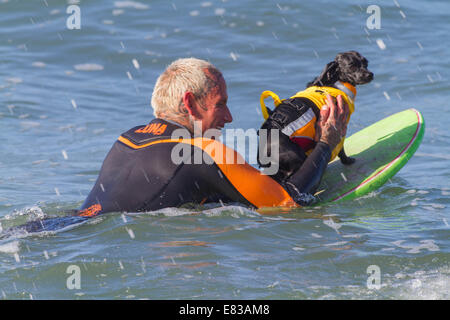 28. September 2014 kam - Huntington, CA, USA - weltberühmten Unleashed durch Petco Surf City Surf DogÂ¨ Wettbewerb Hunde von ganz über dem Land, in den rauen Gewässern aus Huntington Beach, Kalifornien zu konkurrieren. Einige Teilnehmer kamen aus so weit wie Brasilien. Der Strand war voll mit gut aussehenden, Hundeliebhaber und Surfer gleichermaßen. Es gab mehrere Kategorien von kleinen Hunden zu groß... Sehen Sie hier:. Kiwi und Ryan Rustan (Kredit-Bild: © Daren Fentiman/ZUMA Draht) Stockfoto