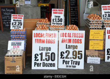 Lokalen Landeier Stand in Brighton Open Market UK Stockfoto