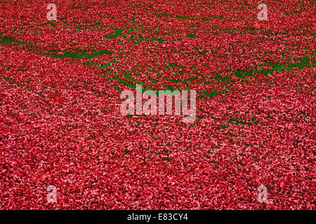 Die Keramik Mohnblumen "Blut Mehrfrequenzdarstellung Länder und Meere of Red" Installation auf dem Tower of London.  Die Installation war erstellen Stockfoto