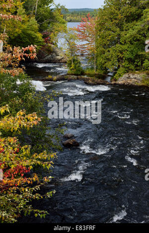 Farben des Herbstes auf die Amable du Fond Stromschnellen fließt von Norden nach krumm schießen Lake Northern Ontario Kanada Stockfoto