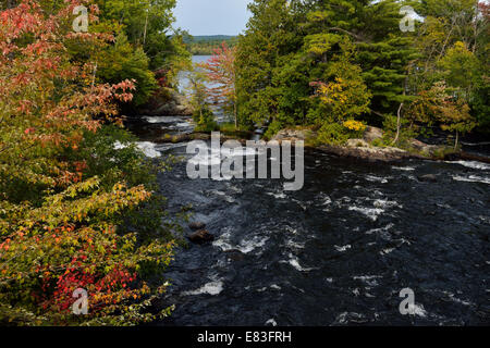 Farben des Herbstes auf die Stromschnellen Amable du Fond, krummen schießen Lake Northern Ontario Kanada Stockfoto