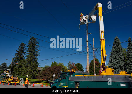 Hydro Arbeiter Bespannung neue overhead Stromleitungen in Toronto mit klaren blauen Himmel Stockfoto