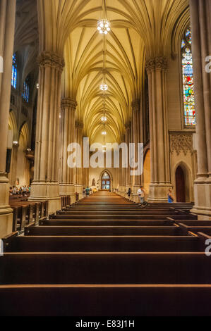 Atemberaubende verzierten Innenraum der neugotischen St. Patricks Kathedrale in Midtown Manhattan, New York City. Stockfoto