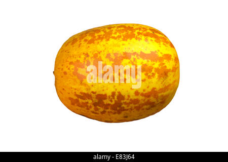 Cucumis Melo, ein Cumcumber / Melone verwendet in der indischen Küche Stockfoto