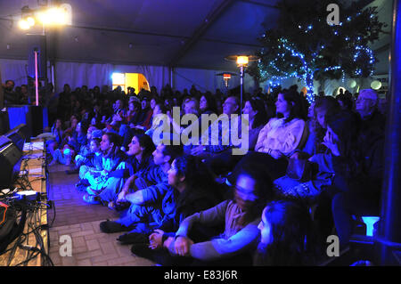 Kleine Menge in eine Musik-show Stockfoto