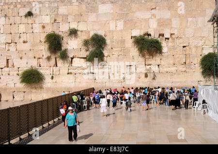 Frauensektion der Westwand, Jerusalem, Israel Stockfoto