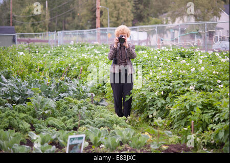 Senior Fotografin bei der Arbeit in Alaska Stockfoto