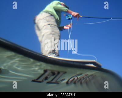 6. Dezember 2009 - Islamorada, FL, USA - FREE Flyfishing.Caption: (Montag, 7. Dezember 2009 Islamorada) Steve Updegraff gilt ein Fisch-Auge Ansicht beim Fliegenfischen in Everglades nationalen Park.Summary Gießen: Fliegenfischen in den Florida Keys und die Everglades Nationalpark. (Kredit-Bild: © St. Petersburg Times / ZUMA Wire) Stockfoto