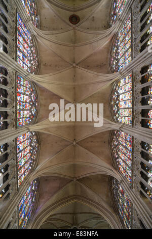 St. Pierre und St. Pauls Kathedrale in Troyes, Frankreich Stockfoto