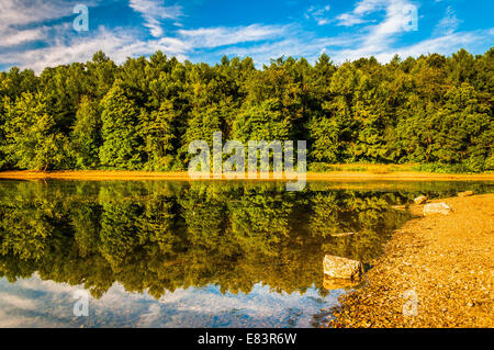 Reflexionen entlang der Ufer des Sees Marburg, Codorus State Park, Pennsylvania. Stockfoto
