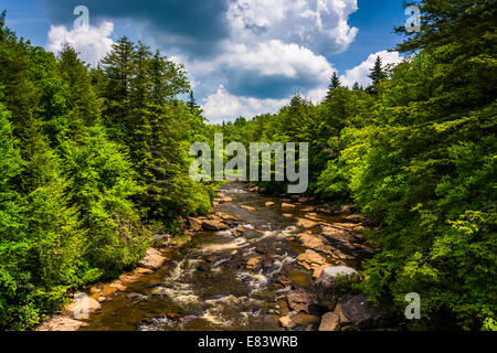 Ansicht des Flusses Blackwater von einer Brücke an Blackwater Falls State Park, West Virginia. Stockfoto