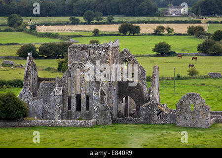 Hore Abbey gesehen von der Rock of Cashel, Cashel, County Tipperary, Irland Stockfoto