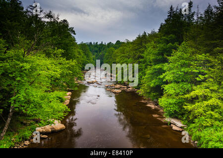 Ansicht des Flusses Blackwater von einer Brücke an Blackwater Falls State Park, West Virginia. Stockfoto