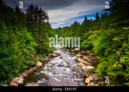 Ansicht des Flusses Blackwater von einer Brücke an Blackwater Falls State Park, West Virginia. Stockfoto