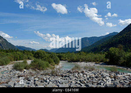 Obere Isar River, im Sediment Barriere, Naturschutzgebiet, Isartal, Tölzer Land, Upper Bavaria, Bavaria, Germany Stockfoto