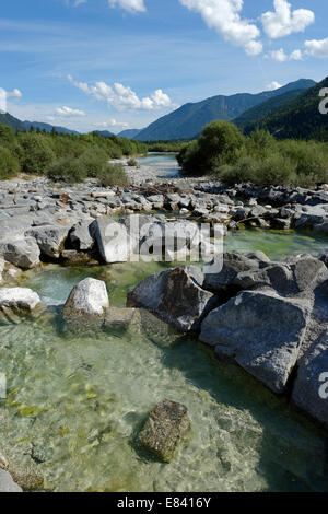 Obere Isar River, im Sediment Barriere, Naturschutzgebiet, Isartal, Tölzer Land, Upper Bavaria, Bavaria, Germany Stockfoto