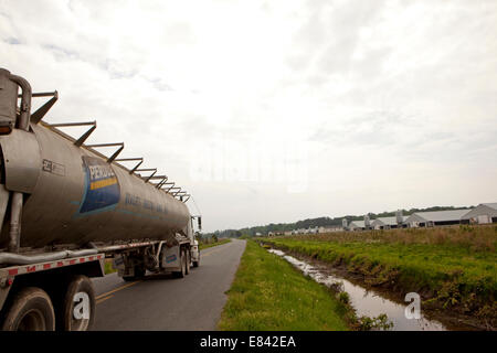 Huhn Farmen Ostufer Maryland usa Stockfoto