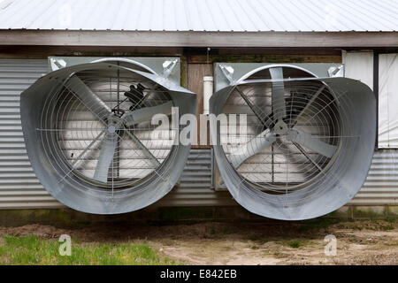 Zwei große Klimaanlagen auf industrielle Nutzgeflügel Schuppen, Eastern Shore, Chesapeake Bay, Maryland, USA Stockfoto