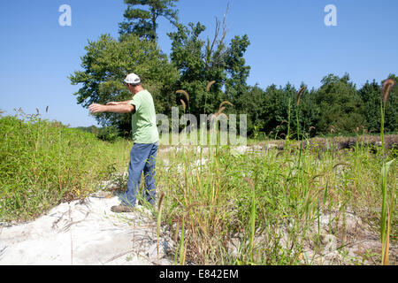 Huhn Farmen Ostufer Maryland usa Stockfoto