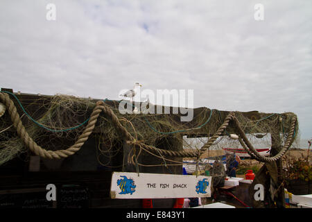 Angelboote/Fischerboote in Oford in Suffolk, Großbritannien. 28.09.2014 Stockfoto