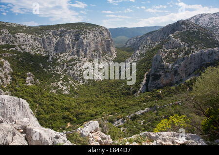 Der Kalkstein Supramonte-Gebirge, Gennargentu, Sardinien, Italien. Stockfoto